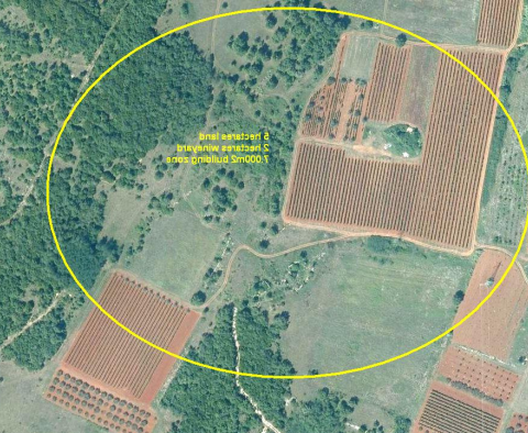 Large plot of land with possibility to construct lux villas, Brtonigla area - pic 2