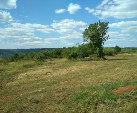 Grand terrain avec possibilité de construire des villas de luxe, région de Brtonigla - pic 3