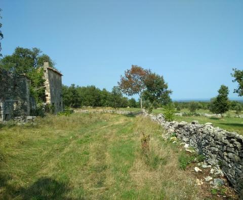 Domaine avec deux ruines en pierre dans la région de Buje 