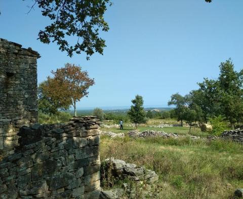Domaine avec deux ruines en pierre dans la région de Buje - pic 2