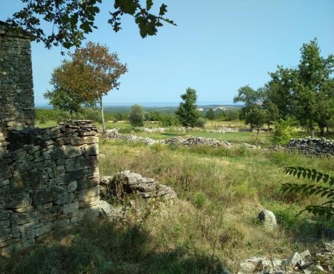 Domaine avec deux ruines en pierre dans la région de Buje - pic 3