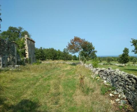 Usedlost se dvěma kamennými ruinami v oblasti Buje - pic 4