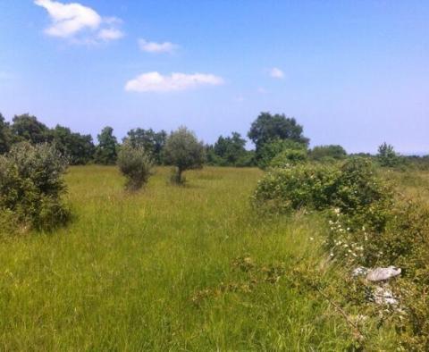 Domaine avec deux ruines en pierre dans la région de Buje - pic 11