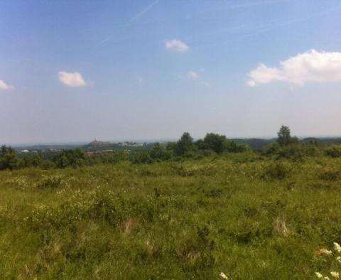 Estate with two stone ruins in Buje area - pic 13