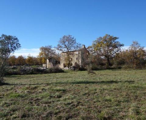 Domaine avec deux ruines en pierre dans la région de Buje - pic 18