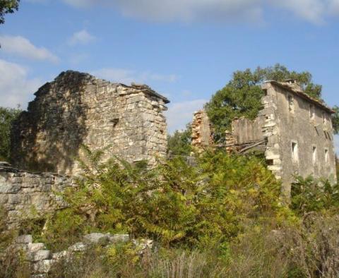 Domaine avec deux ruines en pierre dans la région de Buje - pic 19
