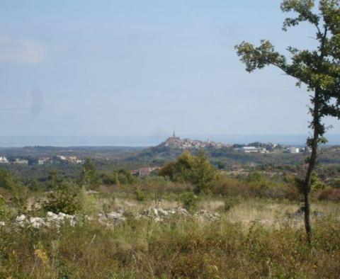 Estate with two stone ruins in Buje area - pic 22