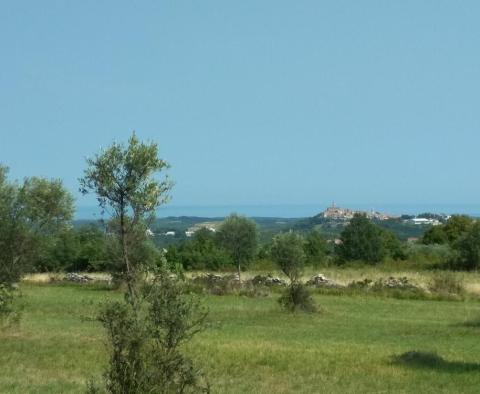 Domaine avec deux ruines en pierre dans la région de Buje - pic 25