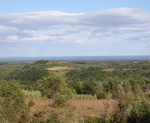 Gorgeous land plot for sale in Buje area with distant sea view - pic 5