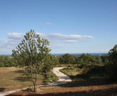 Gorgeous land plot for sale in Buje area with distant sea view - pic 11