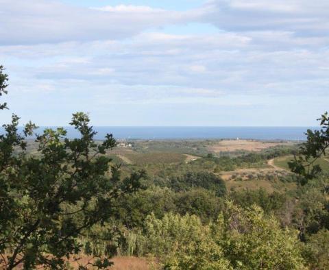 Gorgeous land plot for sale in Buje area with distant sea view - pic 16