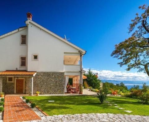 Fascinating villa in Poljane, Icici - breathtaking sea view! - pic 2