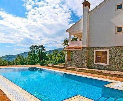 Fascinating villa in Poljane, Icici - breathtaking sea view! - pic 5