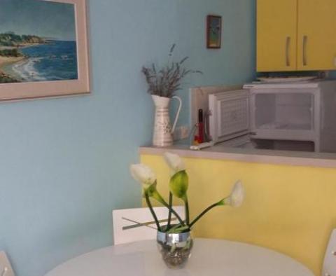 Appartement trois étoiles *** sur l&#39;île de Vis! - pic 9