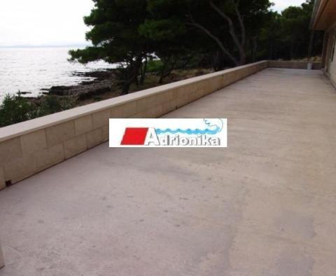 Villa unique en bord de mer sur l'île de Brac sur 11000 m2 de terrain en bord de mer - pic 10