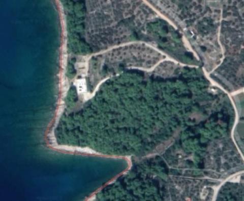 Villa unique en bord de mer sur l'île de Brac sur 11000 m2 de terrain en bord de mer - pic 4