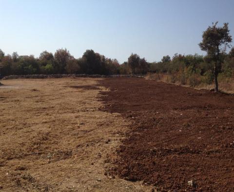Terrain spacieux à 600 mètres de la mer dans la région de Rovinj (Vestar) - pic 2