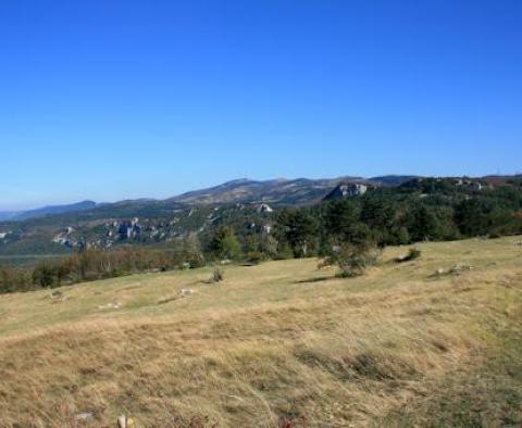 Immense terrain dans l'arrière-pays de l'Istrie près de Pazin - pic 3