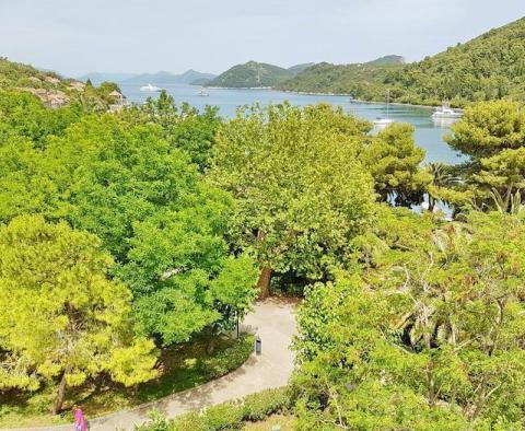 Ancien palais de luxe sur l'île de Sipan à vendre à seulement 80 mètres de la plage - pic 56