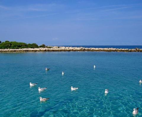 Opportunité unique de devenir maître de votre propre île à proximité de Mali Losinj - pic 33