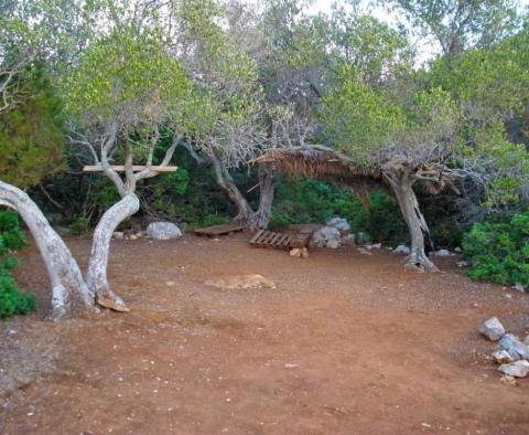 Opportunité unique de devenir maître de votre propre île à proximité de Mali Losinj - pic 35