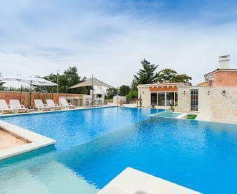 Luxury villa with pool of 150m2 in Sveti Petar u Sumi - pic 21
