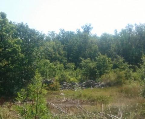 Agricultural land for sale in Ripenda Kras in Labin area, 56.000m2 