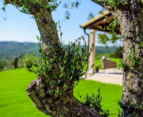 Beeindruckende ländliche Villa der Kategorie 5 ***** Sterne in der Gegend von Motovun und Groznjan - foto 14