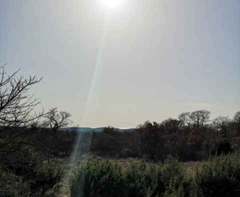 Land for sale - great opportunity in Smoljanci, Svetvinčenat, over 1 ha - pic 2 Land for sale - great opportunity in Smoljanci, Svetvinčenat, over 1 ha - pic 2