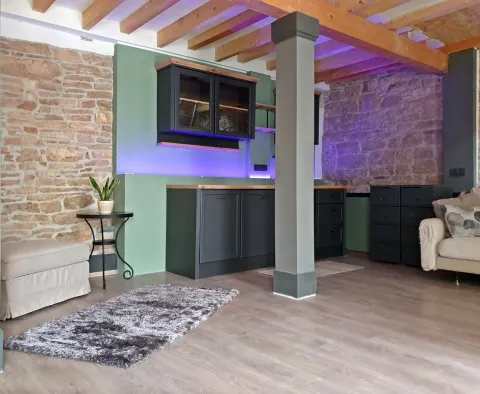 Prostorný statek v Žminji na 13743 m² pozemku, na prodej - pic 13