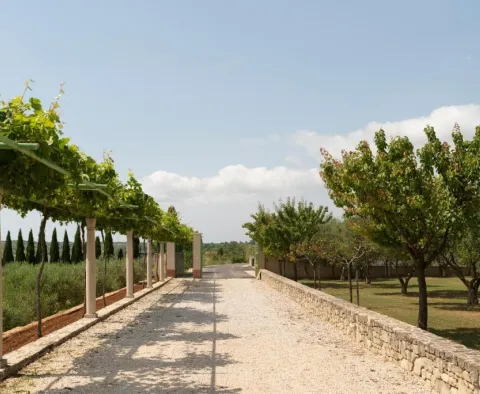 Two luxury 5***** design villas with pools and sea view on 9500 sq.m. terrain in Zadar area, for sale - pic 51 Two luxury 5***** design villas with pools and sea view on 9500 sq.m. terrain in Zadar area, for sale - pic 51