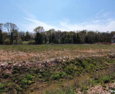 First line land plot for sale in Novigrad area over 1,7 ha - 17.246m2 - pic 4