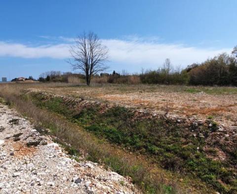 First line land plot for sale in Novigrad area over 1,7 ha - 17.246m2 - pic 6