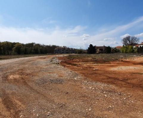First line land plot for sale in Novigrad area over 1,7 ha - 17.246m2 - pic 9