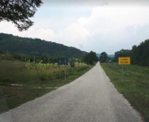 Hatalmas telek eladó Livade körzetben a Motovun völgyben, lakóépítkezésre - pic 4