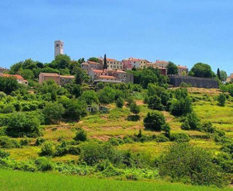 Hatalmas telek eladó Livade körzetben a Motovun völgyben, lakóépítkezésre - pic 7