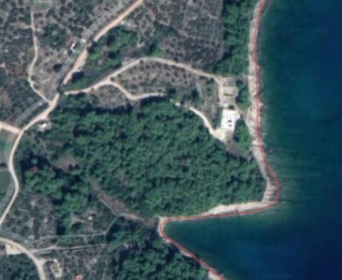Unikátní nábřežní vila na ostrově Brač na 11 000 m2 pozemku u moře - pic 4