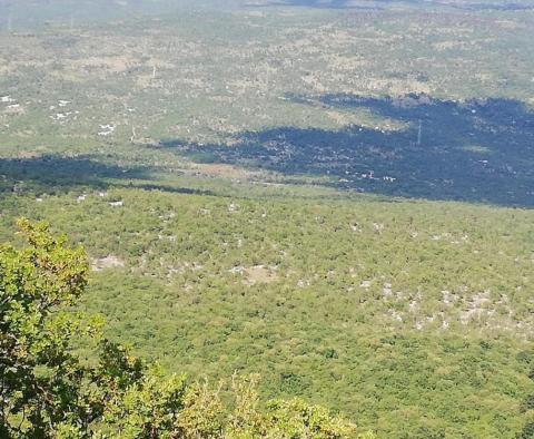 Immense terrain agricole en Istrie, plus de 1 million de m². - pic 9