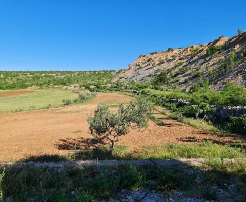 Exceptional agricultural land for sale with a project of 300 sq.m. villa with pool and tennis court, just 1500 meters from the sea - pic 4