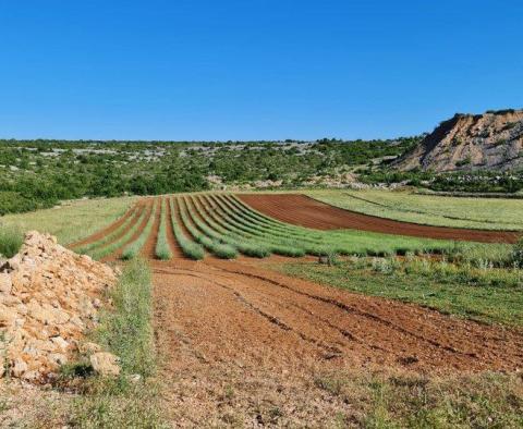 Exceptional agricultural land for sale with a project of 300 sq.m. villa with pool and tennis court, just 1500 meters from the sea 