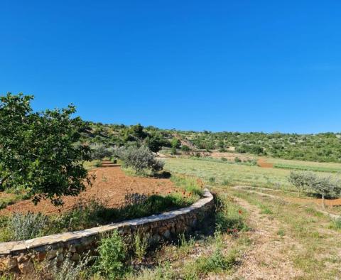 Exceptional agricultural land for sale with a project of 300 sq.m. villa with pool and tennis court, just 1500 meters from the sea - pic 5