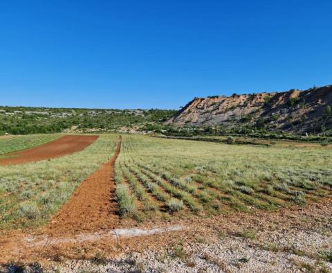 Продается исключительная сельскохозяйственная земля с проектом 300 кв.м. вилла с бассейном и теннисным кортом всего в 1500 метрах от моря - фото 11