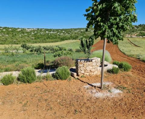 Außergewöhnliches landwirtschaftliches Land zum Verkauf mit einem Projekt von 300 qm. Villa mit Pool und Tennisplatz, nur 1500 Meter vom Meer entfernt - foto 12