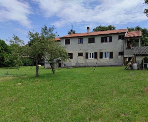 Large estate in Katoro area of Umag just 500 meters from the sea, land plot of 7357 sq.m. 