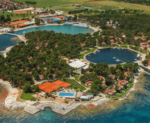 Large estate in Katoro area of Umag just 500 meters from the sea, land plot of 7357 sq.m. - pic 6