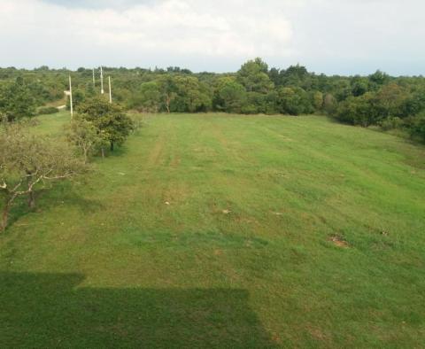 Velká nemovitost v oblasti Katoro v Umagu pouhých 500 metrů od moře, pozemek o rozloze 7357 m2. - pic 11