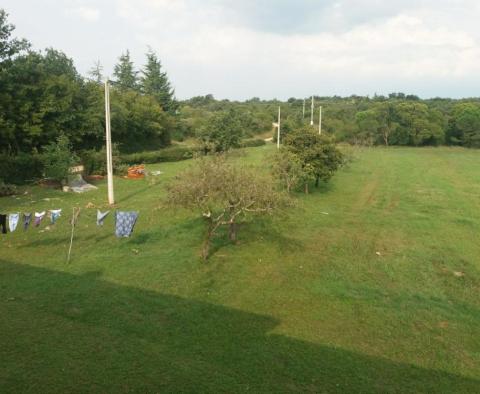 Large estate in Katoro area of Umag just 500 meters from the sea, land plot of 7357 sq.m. - pic 12