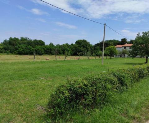 Large estate in Katoro area of Umag just 500 meters from the sea, land plot of 7357 sq.m. - pic 22