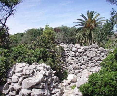 Opportunité unique de devenir maître de votre propre île à proximité de Mali Losinj - pic 8