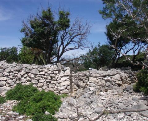 Opportunité unique de devenir maître de votre propre île à proximité de Mali Losinj - pic 10